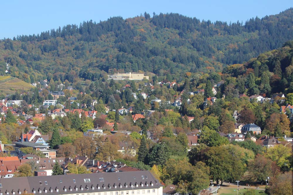 Boom immobilier vers 1900. Art nouveau dans le quartier de Herdern