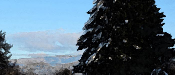 Fribourg-en-Brisgau en hiver